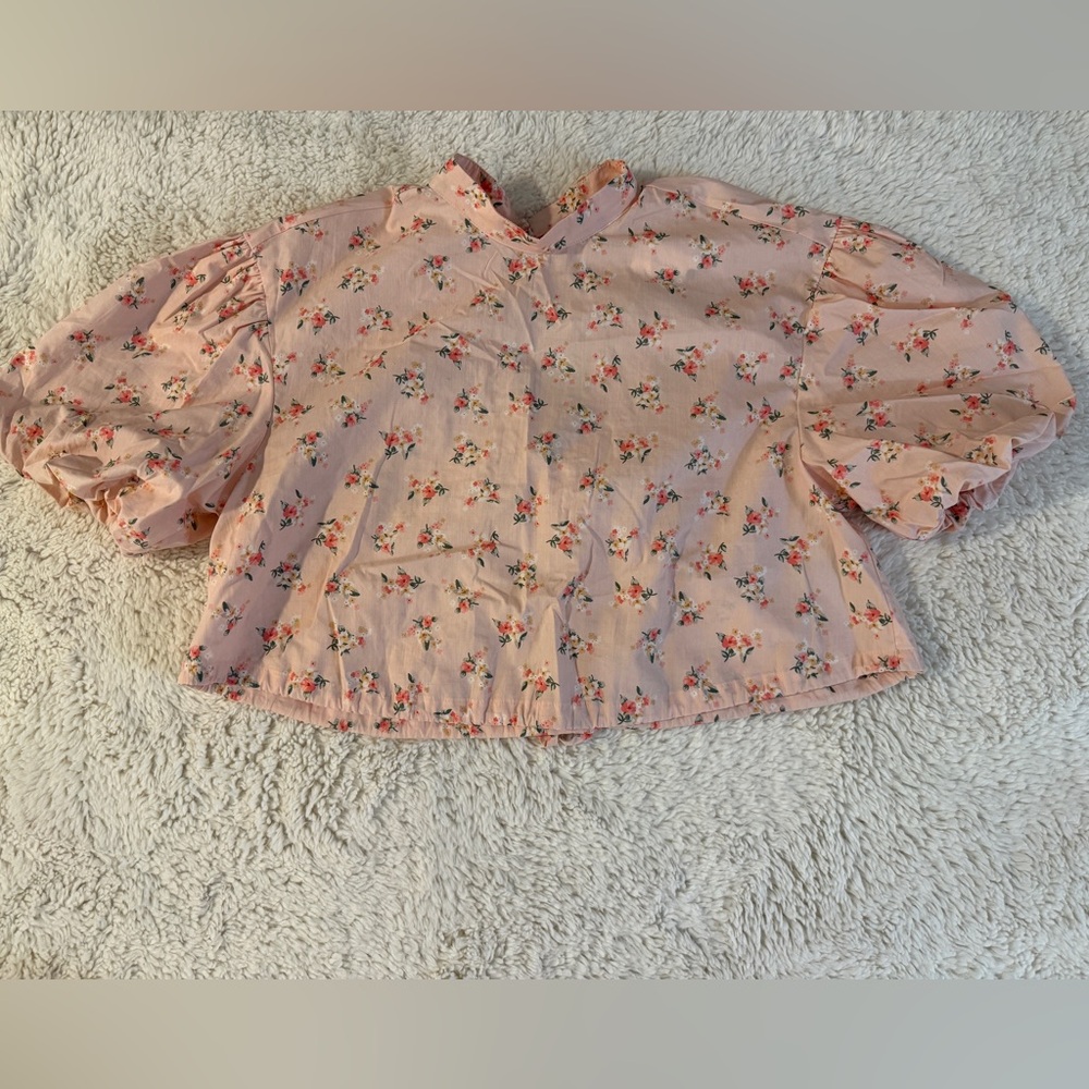 Anthropologie Light Pink Floral Ruffle Blouse